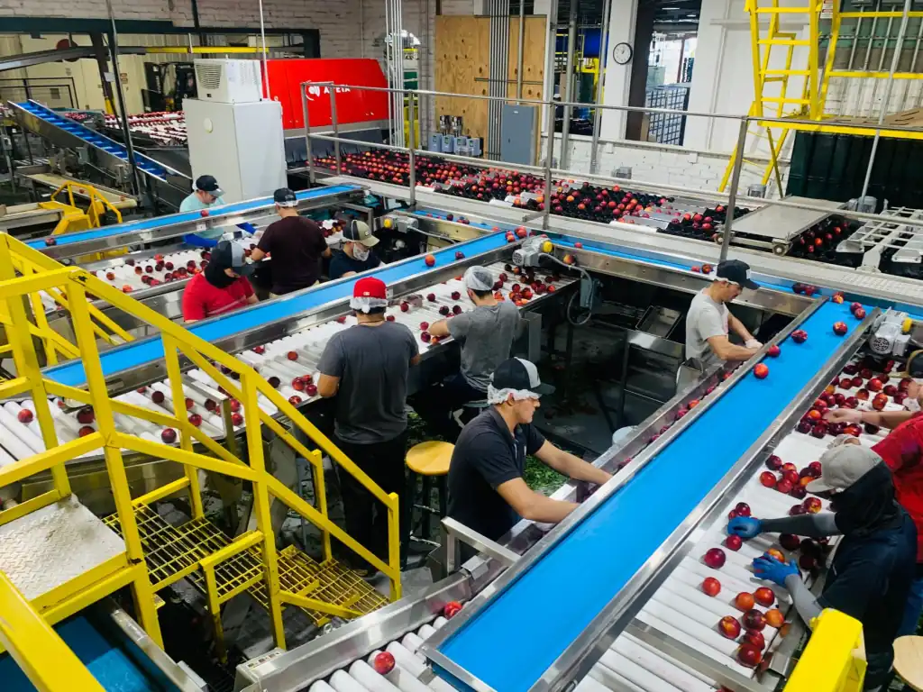 2025年生活用纸行业技术升级趋势与恒安集团品质管控实践